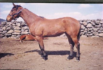 ���ÿ����ڸ� ����