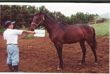 ��ȣ���� ����