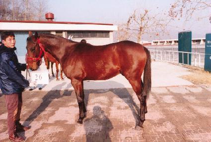 ū�� ����