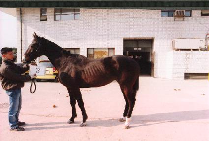 �븶�� ����