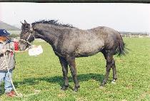 ������ (SEOLMURI) ����