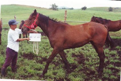 �������� ����