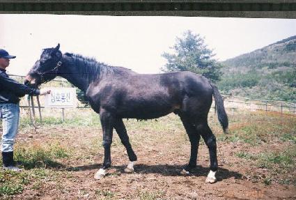 �������� ����