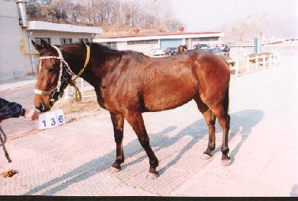 ���ָ� ����