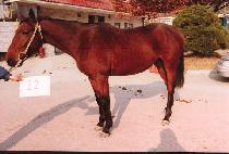 ��ź (KWANGTAN) ����