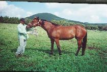 PYEONGHWAROUN picture