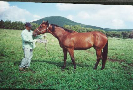 ��ȭ�ο� ����