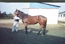 �������� (ONYUHANJA) ����