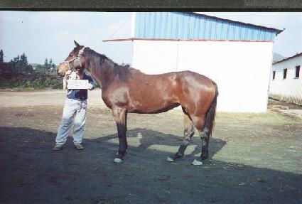 �������� ����