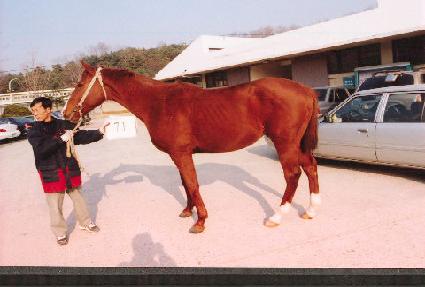 ������ ����