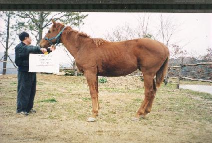 �����ְ� ����