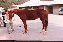 �׸�Ȧ (GREEN HOLE) ����