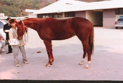 �׸�Ȧ ����