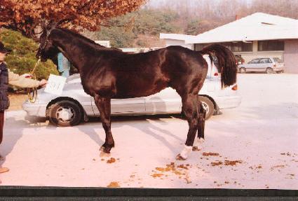 �����䰡���� ����