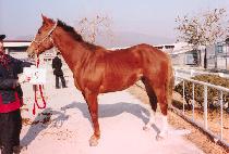 �±�õ�� (SEUNGGI CHEONNYEON) ����