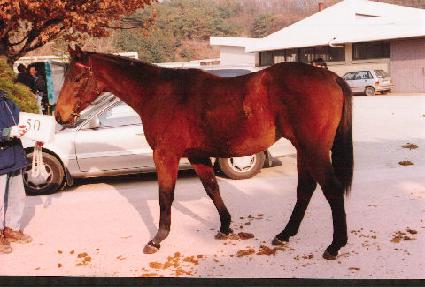 ���� ����