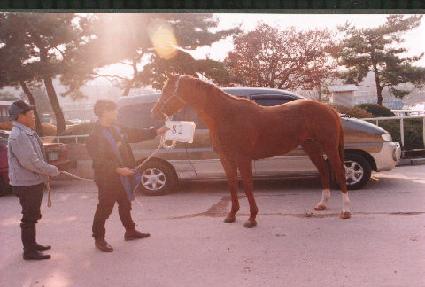 ȭ�� ����