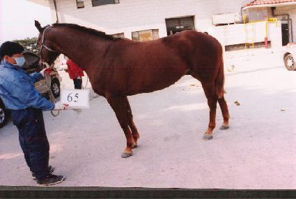 ������ ����