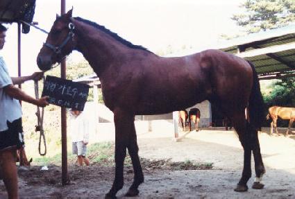 ���Ľ� ����