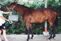 ���ҵ� (MANBULDONG) ����