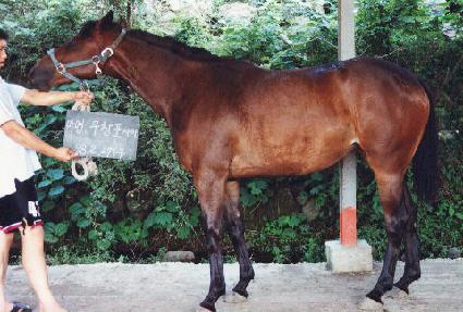 ���ҵ� ����