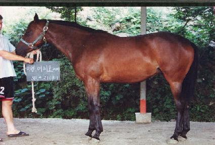 ������ ����