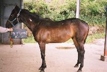 ���� (KWANG-YEONG) ����