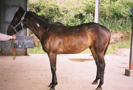 ���� ����