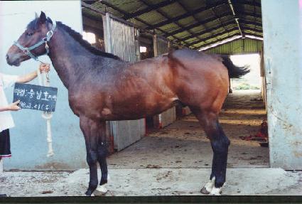 ���κ� ����