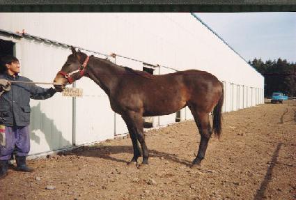 ���� ����