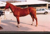 Ÿ��Ʋ����Ʈ (TITLIST) ����