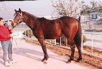 ū�� (KEUN-GOL) ����