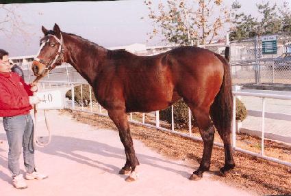 ū�� ����