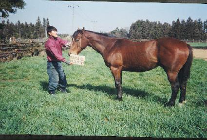 �״�� ����