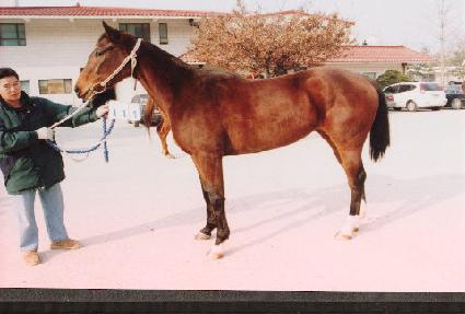 ������� ����