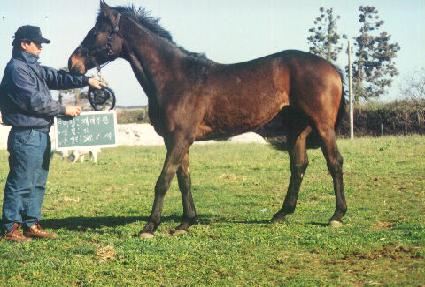 ��̹��� ����