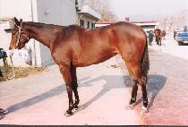 õ������ (CHEONMAPYEONGJEONG) ����