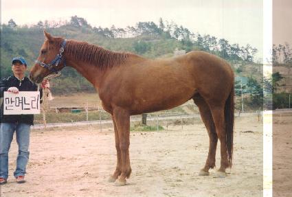 ������� ����