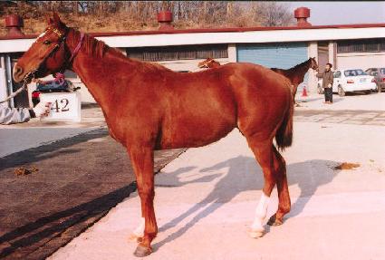 ��������Ŀ ����