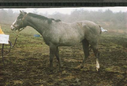 �ǹ����̽� ����