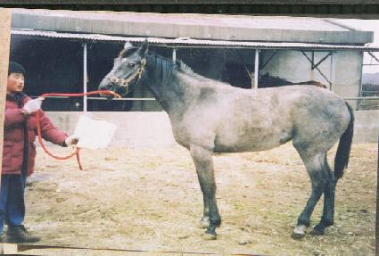 ���ֺ� ����