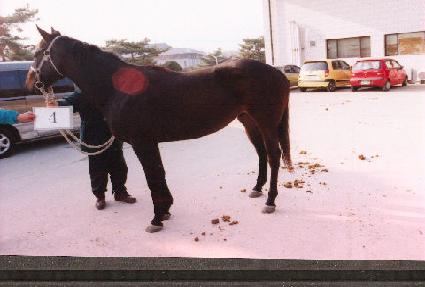 ��õ ����