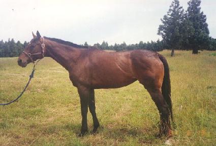 �¾�� ����