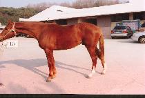 ��Ҹ��ڸ� ����