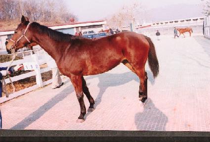 ����Ʈ ����