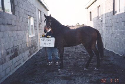 �ʽ� ����