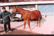 �ٶ��ǳ��� (BARAMEUI NARA) ����