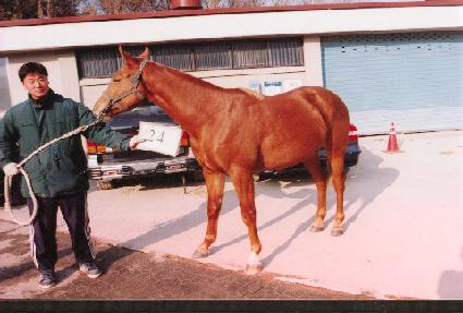 �ٶ��ǳ��� ����