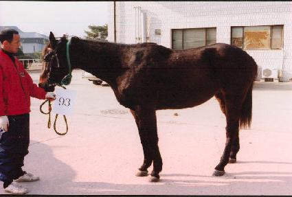 �շ� ����