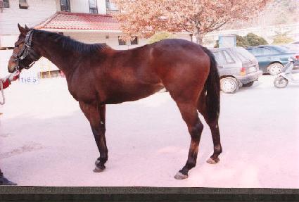 ���ϼ� ����